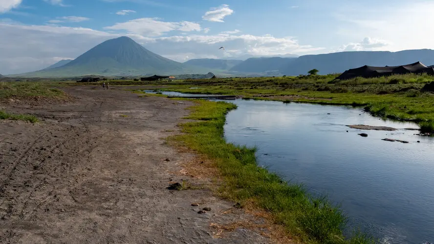 Lesser Flamingo Lake Natron