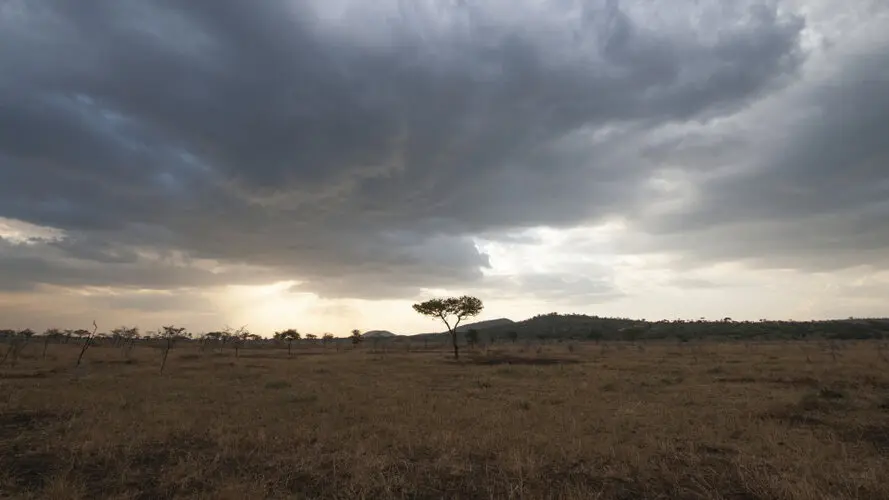 Photographic safari great migration serengeti