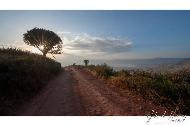 Ngorongoro Conservation Area private safari