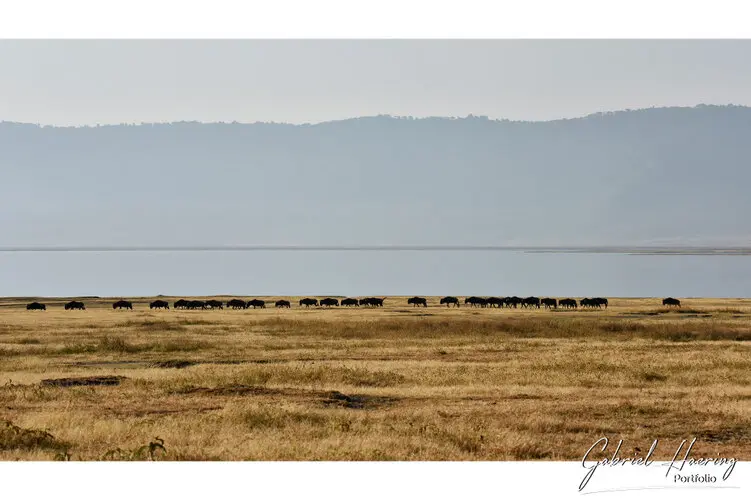 Ngorongoro Conservation Area private safari